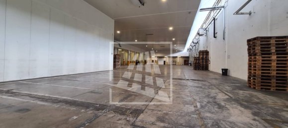 11799m² Warehouse in Reggio Emilia, Italy No. 16263 30