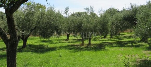 3 Schlafzimmer Haus in Nepi, Italy, Nr. 336522 31