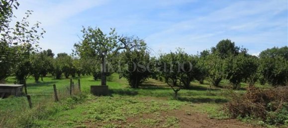 3 Schlafzimmer Haus in Nepi, Italy, Nr. 336522 28