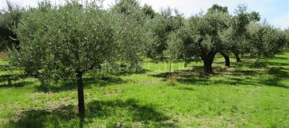 3 Schlafzimmer Haus in Nepi, Italy, Nr. 336522 30