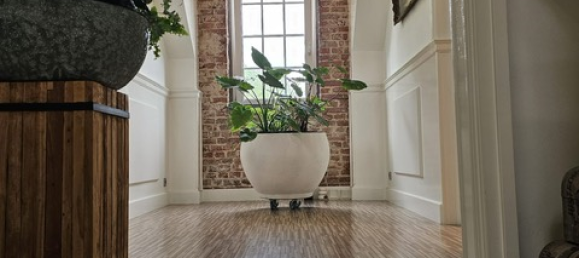 3 rooms House in Kleve, Germany No. 324292 31