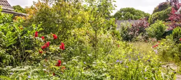 4-Zimmer Stadthaus in Bremen, Germany, Nr. 227877 3