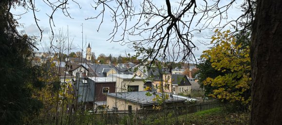 Terrain à Vogtlandkreis, Germany No. 87392 7