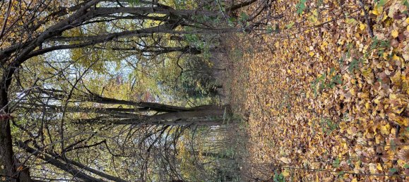 Terrain à Vogtlandkreis, Germany No. 87392 4