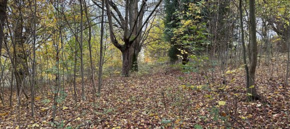 Terrain à Vogtlandkreis, Germany No. 87392 2