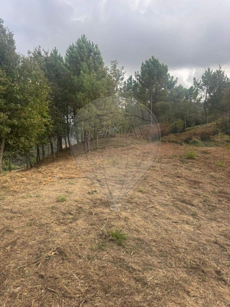  قطعة أرض في Vieira do Minho, Portugal رقم 346061