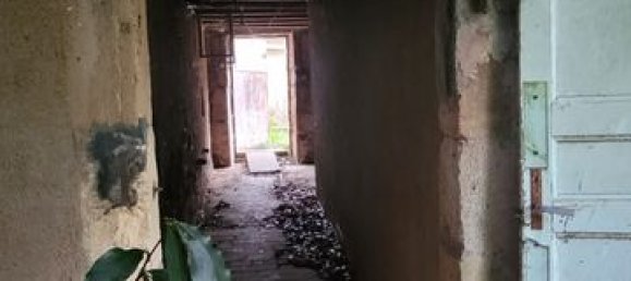 Casa T2 em Saint-Pierre-les-Etieux, France N.º 151914 16