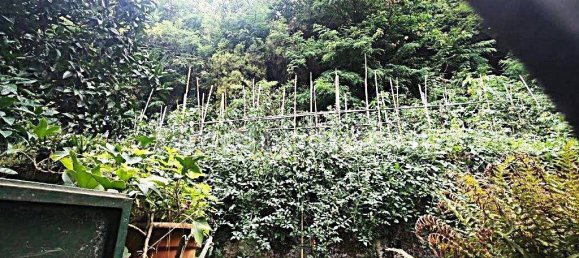 207m² Warehouse in Camaiore, Italy No. 278169 8