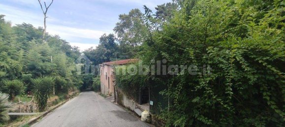 207m² Warehouse in Camaiore, Italy No. 278169 19
