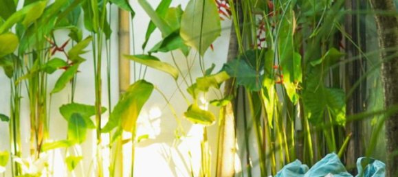 Villa T3 em Tampaksiring, Indonesia N.º 4005 24