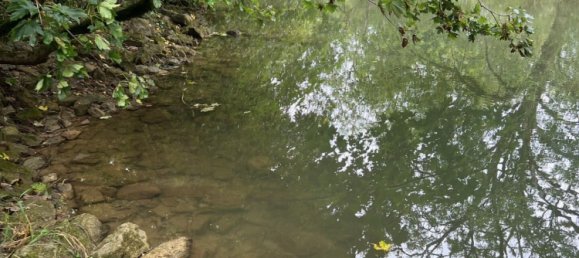 Дом с 2 спальнями в Жура, Франция № 329164 9