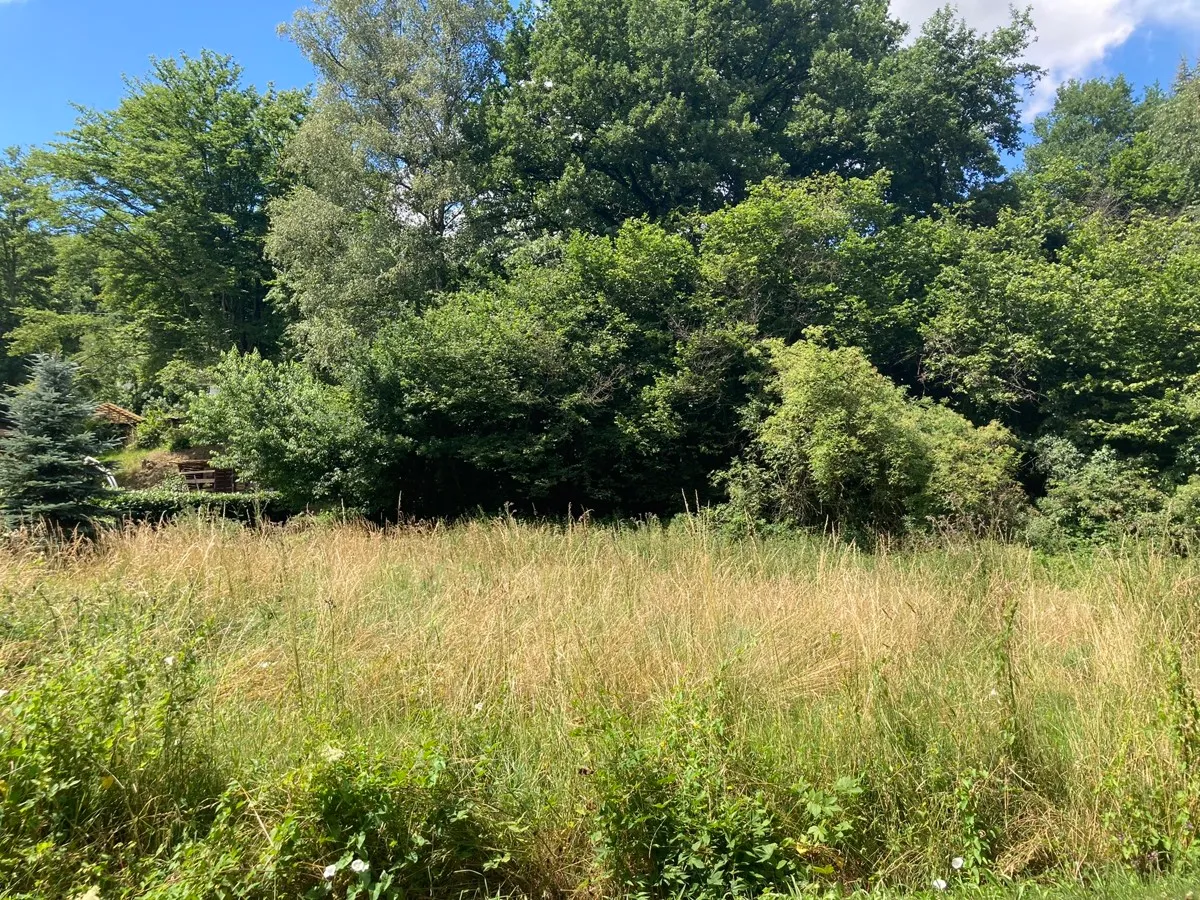 Grundstück in Rhein-Sieg, Germany, Nr. 160651