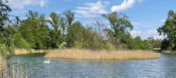 5غرفة تاون هاوس في Magdeburg, Germany رقم 15231 4