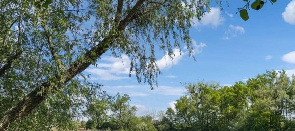 5غرفة تاون هاوس في Magdeburg, Germany رقم 15231 21