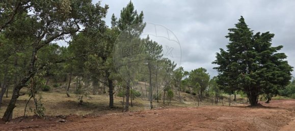  قطعة أرض في Cernache, Portugal 11000متر مربع رقم 74852 2