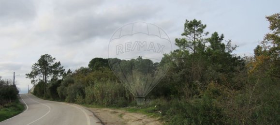  قطعة أرض في Cernache, Portugal 11000متر مربع رقم 74852 5