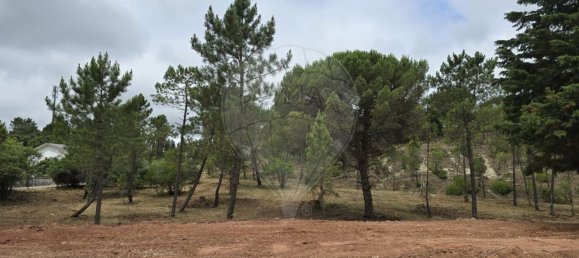  قطعة أرض في Cernache, Portugal 11000متر مربع رقم 74852 4