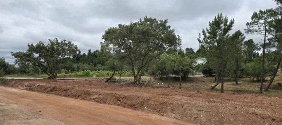  قطعة أرض في Cernache, Portugal 11000متر مربع رقم 74852 10