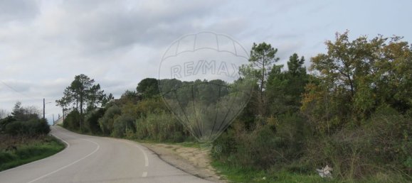  قطعة أرض في Cernache, Portugal 11000متر مربع رقم 74852 6