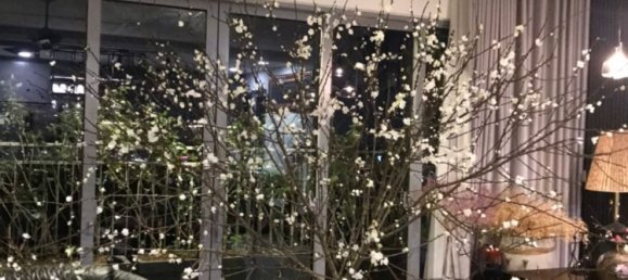 3 bedrooms Apartment in Thu Duc, Vietnam No. 18056 5