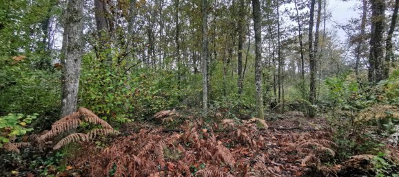 Terreno em Gievres, France N.º 214401 11