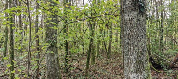 Terreno em Gievres, France N.º 214401 4