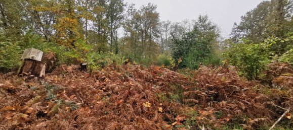 Terreno em Gievres, France N.º 214401 7