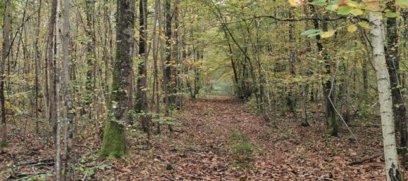 Terreno em Gievres, France N.º 214401 8