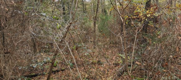 Terreno em Gievres, France N.º 214401 3