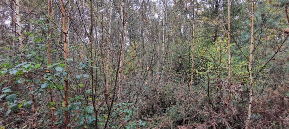 Terreno em Gievres, France N.º 214401 12