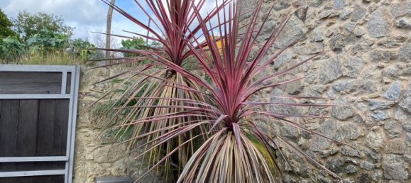 3 غرف نوم منزل في Santa Maria da Feira, Portugal رقم 45856 7