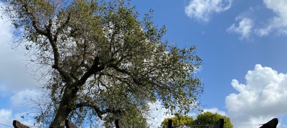 3 غرف نوم منزل في Santa Maria da Feira, Portugal رقم 45856 20