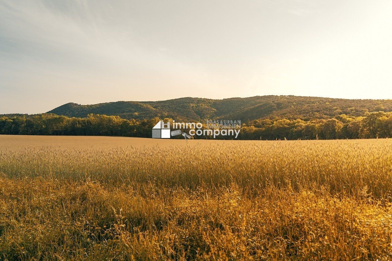 Terreno en Hundsheim, Austria 600 m² No. 122189