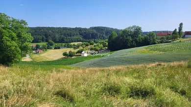  Land in Kirchberg an der Raab, Austria No. 162301