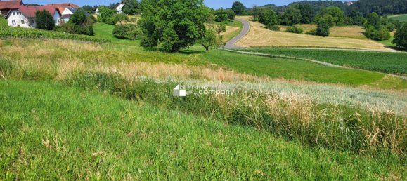  Land in Kirchberg an der Raab, Austria No. 162301 2