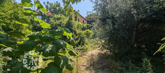 Замки и поместья с 7 спальнями в Баньюль-сюр-Мер, Франция № 338385 12