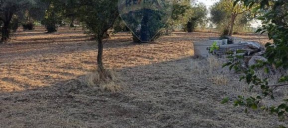 Вилла с 1 спальней в Кальтаджироне, Италия № 114034 13