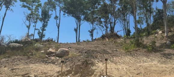  Commercial property in Surat Thani, Thailand No. 19891 3