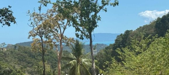  Commercial property in Surat Thani, Thailand No. 19891 7