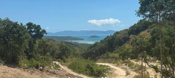  Commercial property in Surat Thani, Thailand No. 19891 4