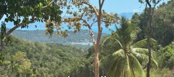  Commercial property in Surat Thani, Thailand No. 19891 5