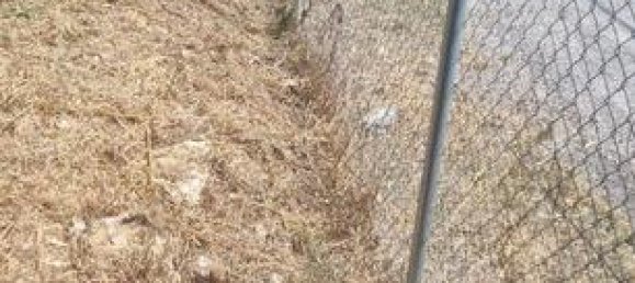 580m² Land in El Catllar, Spain No. 182459 3