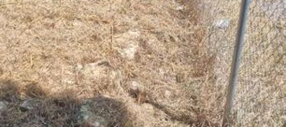 580m² Land in El Catllar, Spain No. 182459 4