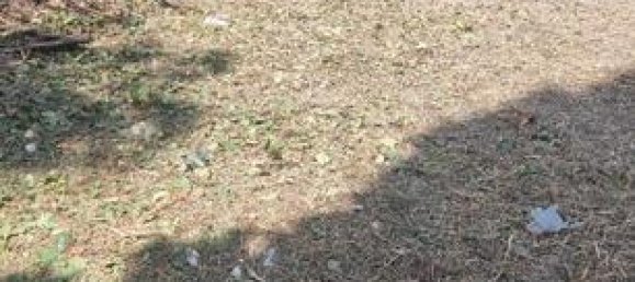 580m² Land in El Catllar, Spain No. 182459 2