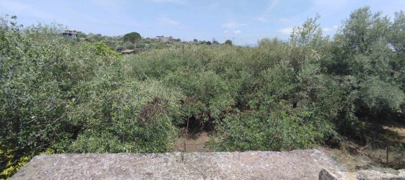 Terreno em Misterbianco, Italy 2800 m² N.º 51224 44