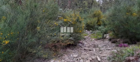 20000m² Land in Penafiel, Portugal No. 56163 5