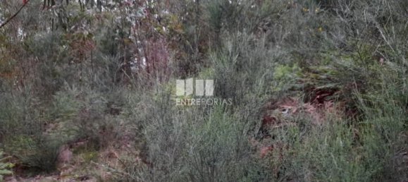 20000m² Land in Penafiel, Portugal No. 56163 3