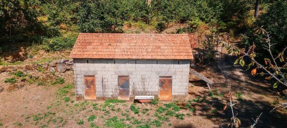 4 غرف نوم منزل في Regadas, Portugal رقم 177504 15