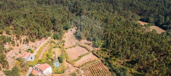 4 غرف نوم منزل في Regadas, Portugal رقم 177504 30