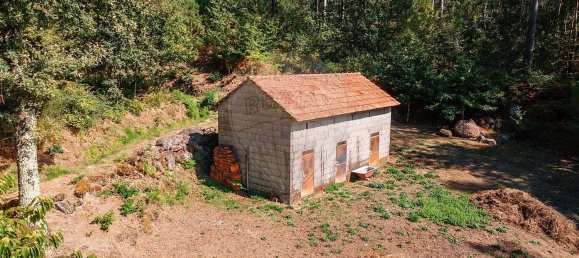 4 غرف نوم منزل في Regadas, Portugal رقم 177504 9